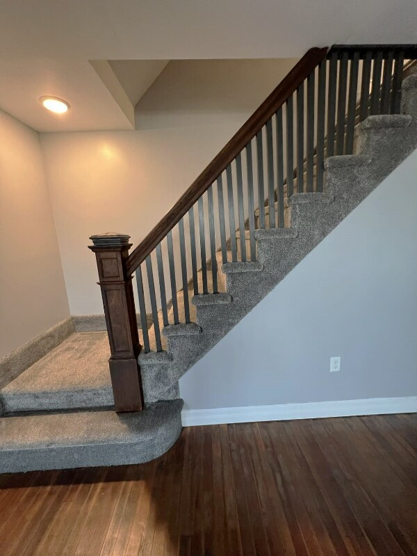 Building Photo - 19 Rutter St