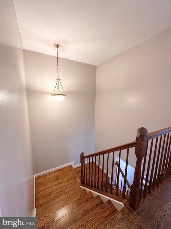 Building Photo - 4201 Timber Meadow Dr