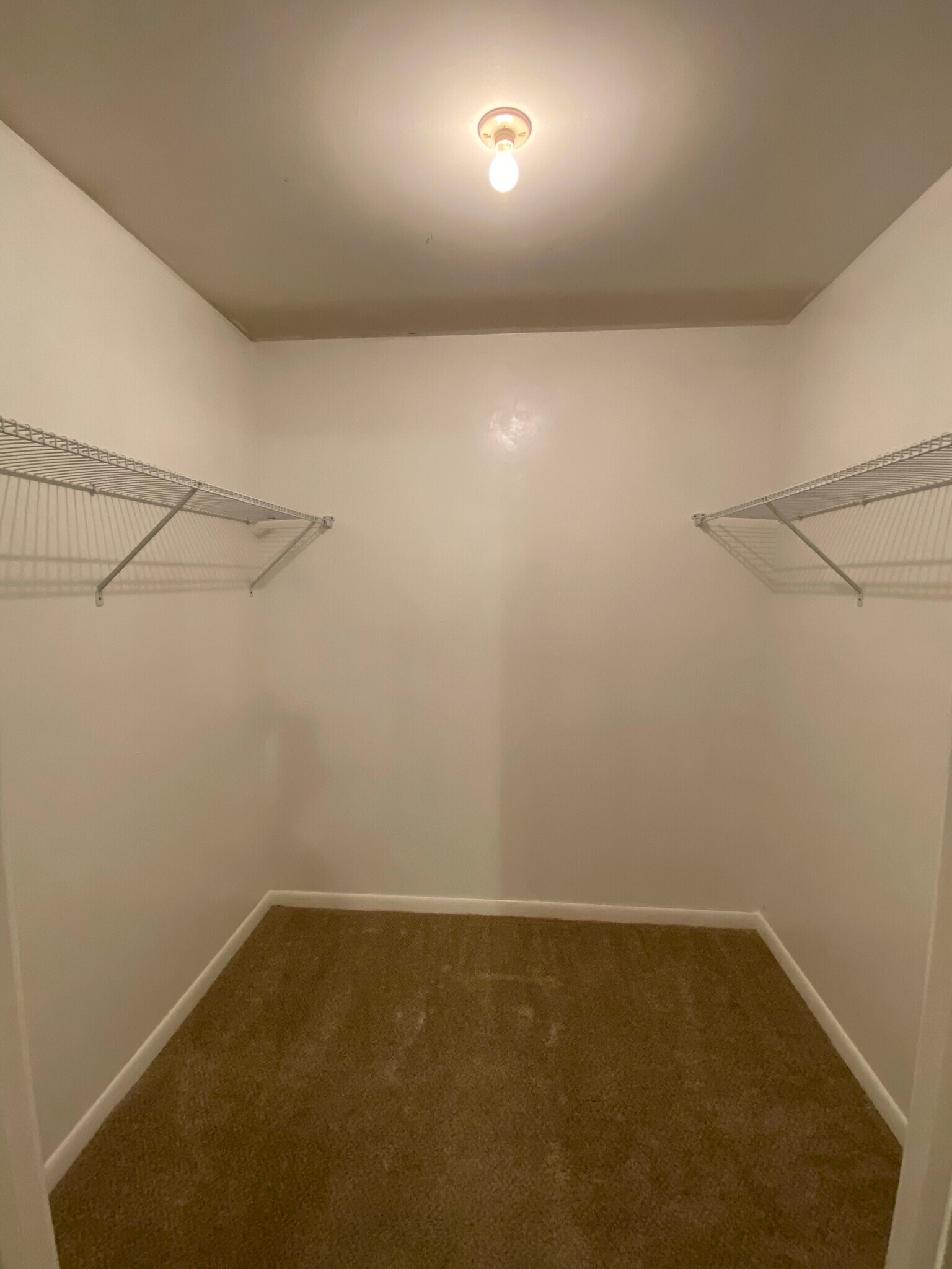 Building Photo - 519 Racine Ln