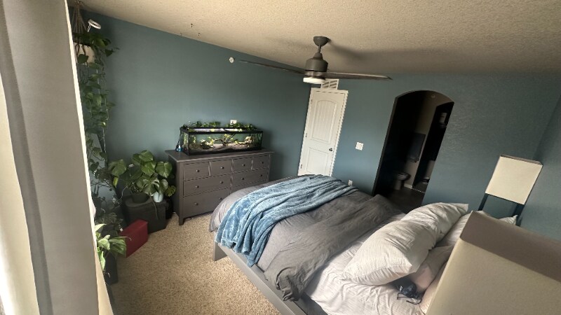 Building Photo - 4276 Little Rock Vw