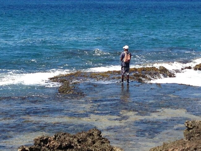 Building Photo - Furnished Luxury Ocean Front Estate in Waianae with Old Hawaii rural setting- 3 Bedrooms x 3 Bath...