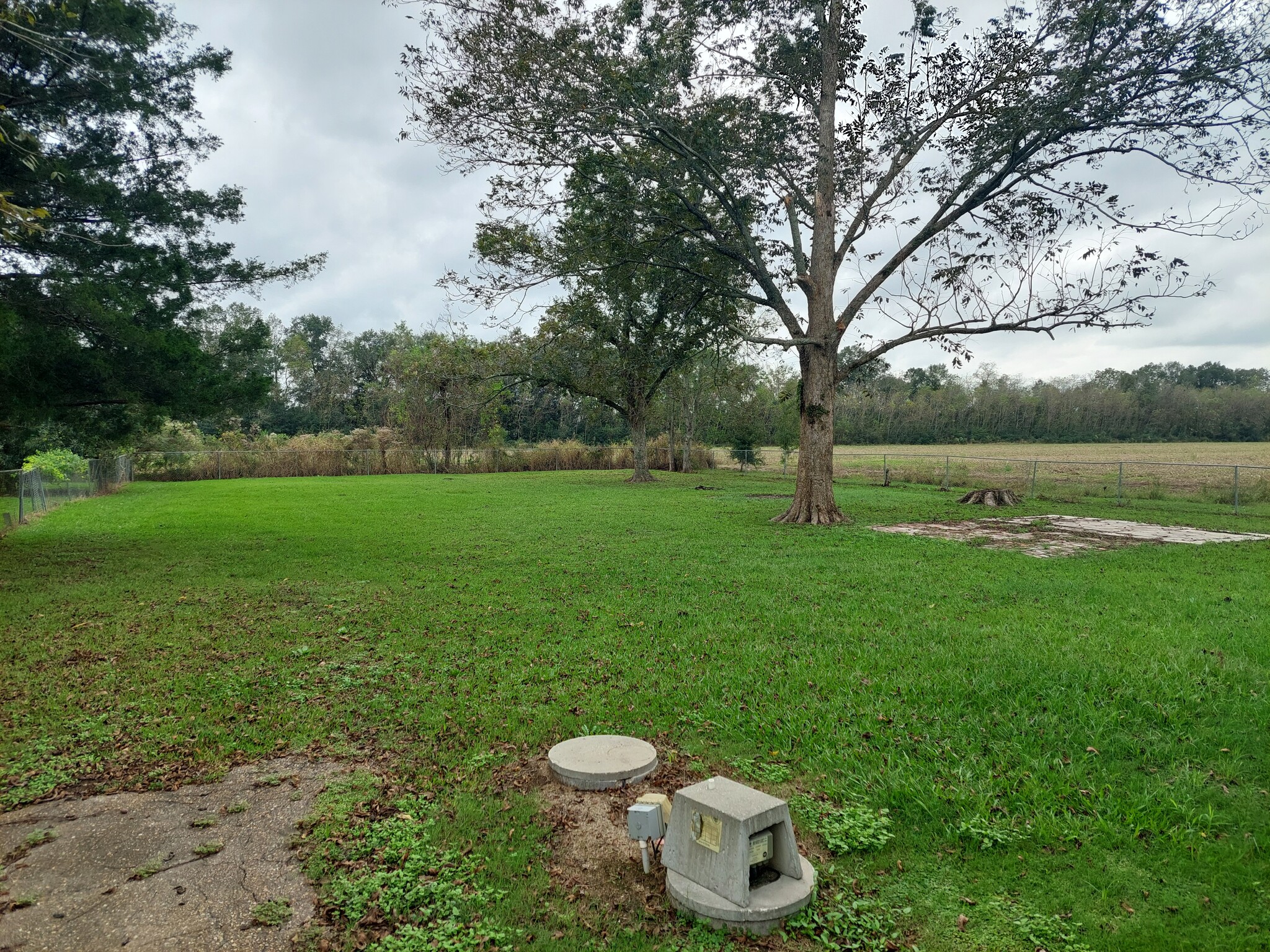 Big backyard with pecan trees - 143 Dandurand Rd