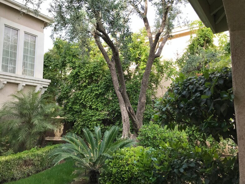 Front Yard - 10379 N Pierpont Cir