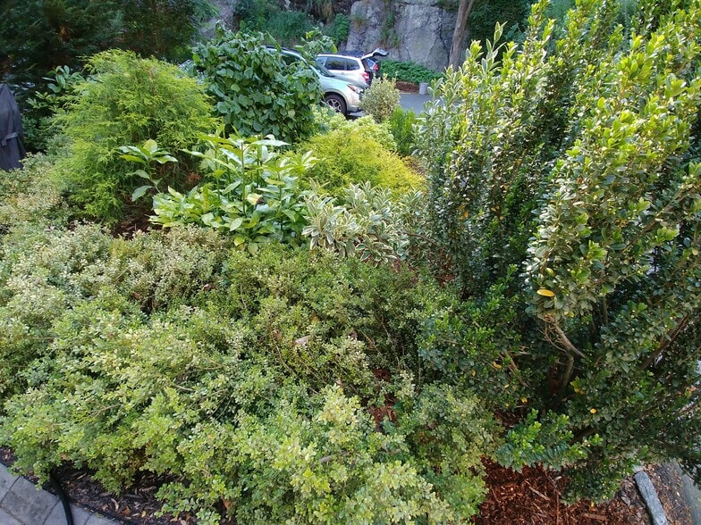 Building Photo - 21 Saint Peter St