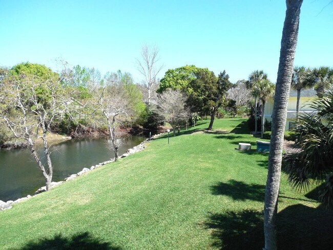 Backyard view - 266 Timberline Trl