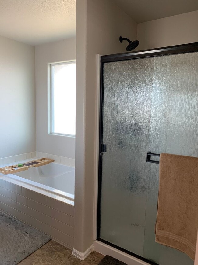 Building Photo - Beautiful 4 Bed,  3 Bath -Corner Lot Home in Pelican Farms – Windsor