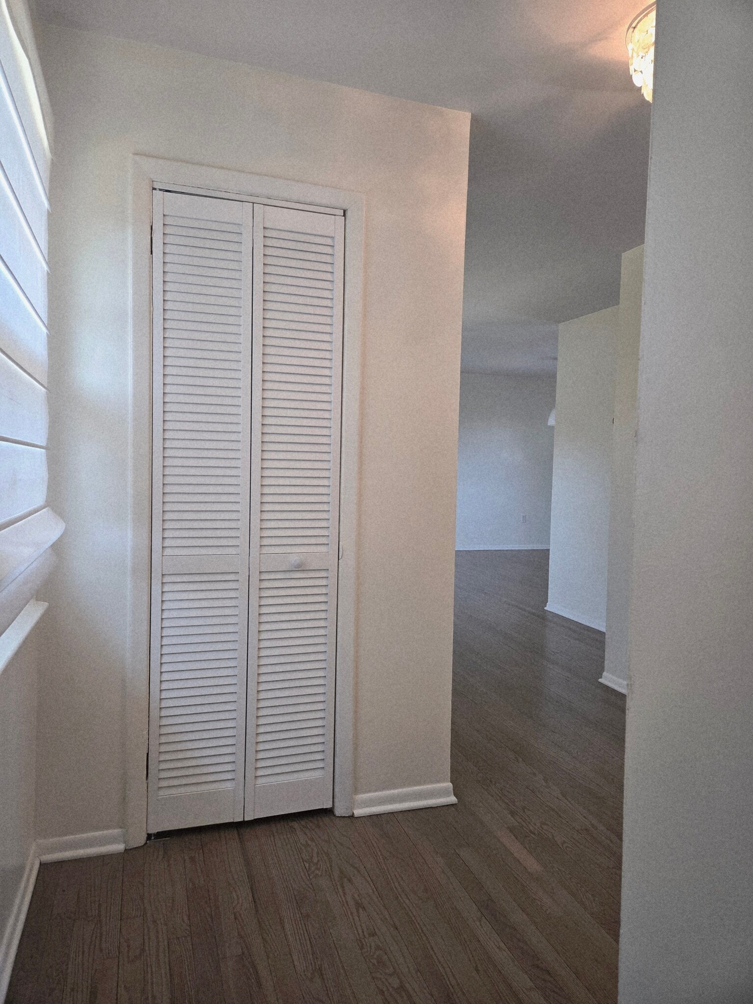 Coat Closet - 364 Westwood Ave