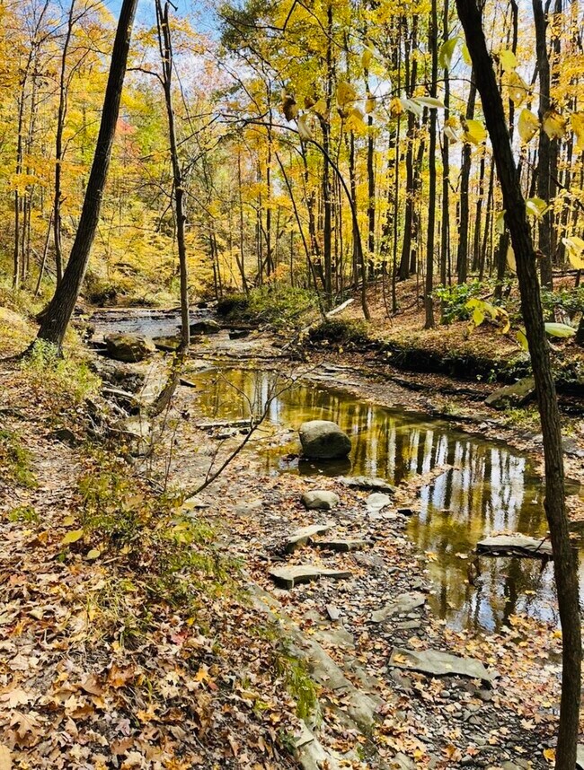 Building Photo - 123 Gould Ave