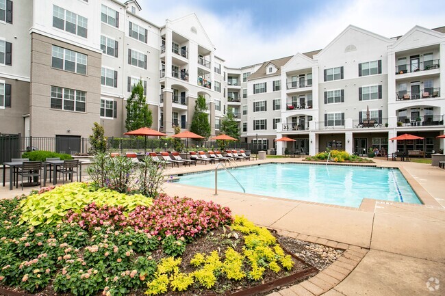 Swimming Pool - Emblem Alpharetta (a 55+ Community)