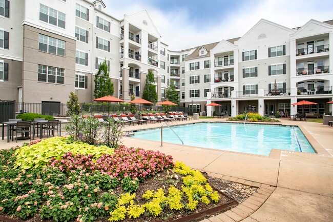 Swimming Pool - Emblem Alpharetta (a 55+ Community)