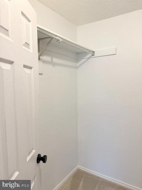 Building Photo - 20958 Timber Ridge Terrace