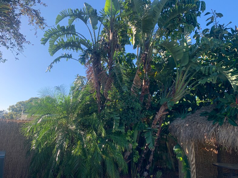 Building Photo - 9125 Sterling Ln