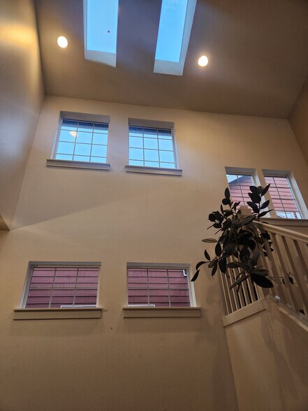 lots of windows in living space - 7727 N Kellogg St