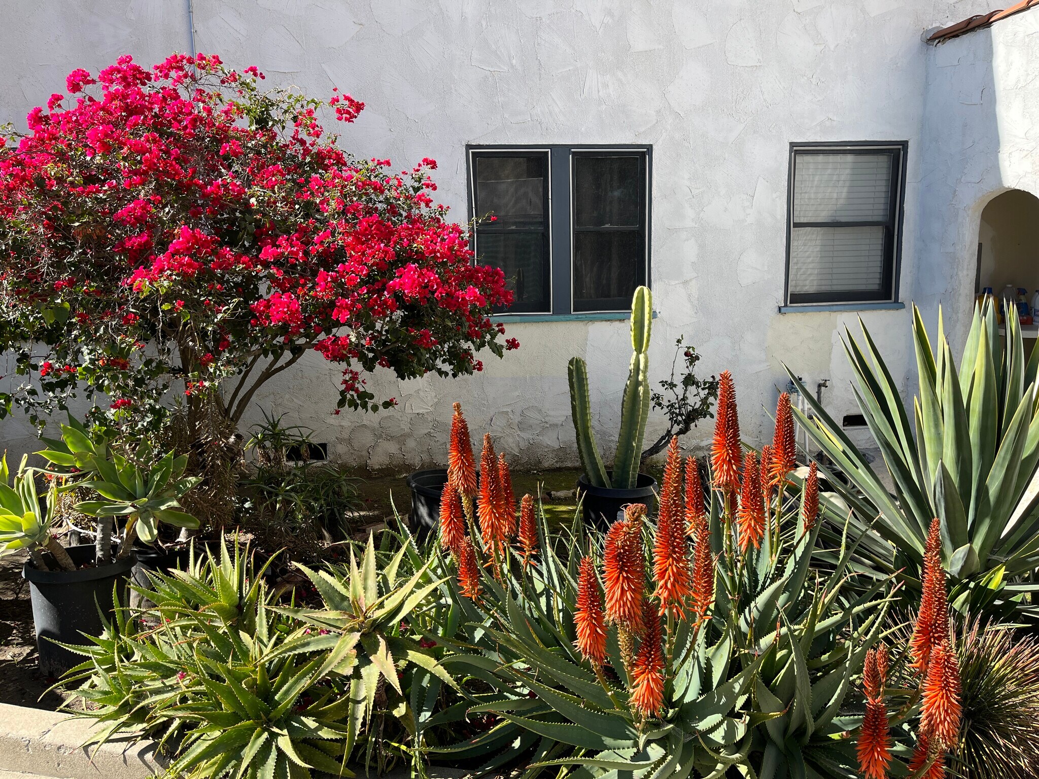 Building Photo - 1040 Prospect Ave