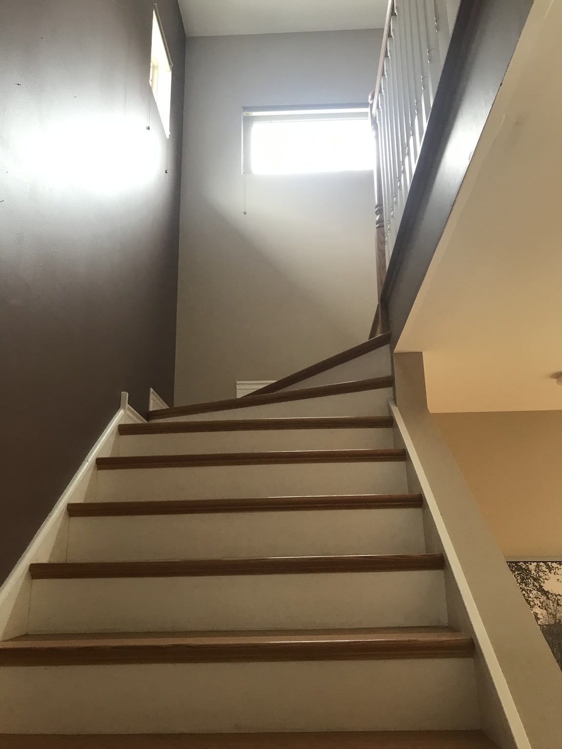 1 gm staur case - 4545 Lawndale Ave