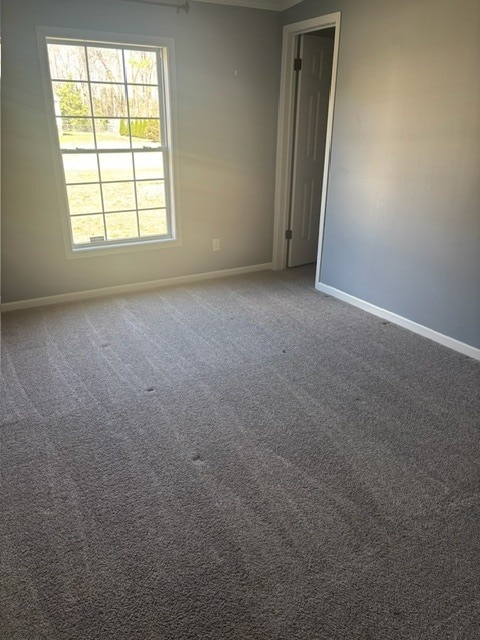 Building Photo - 397 Lester Dr