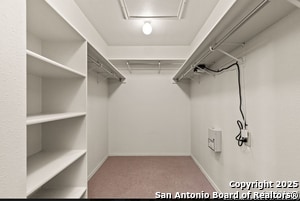 Building Photo - 115 Newrock Creek