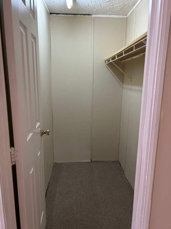 Building Photo - 209 McQueen St