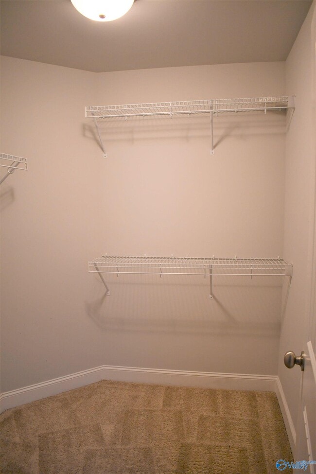 Building Photo - 104 Kinglet Wy