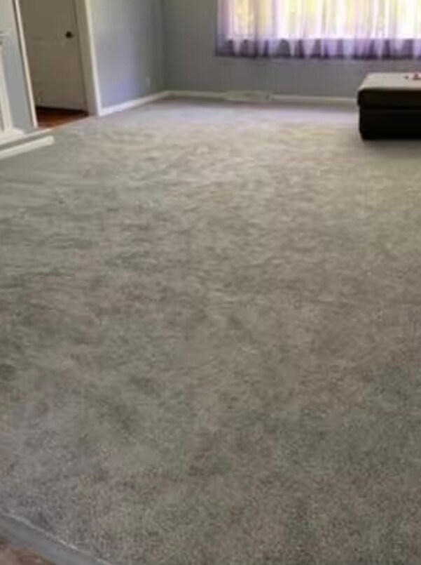 Picture of the plush medium grey carpet to be installed in the bedrooms - 125 Macey Ave