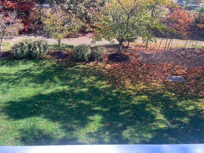 Building Photo - 20476 Alicent Ter