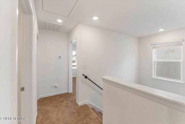 Building Photo - 1013 Curly Top Ln