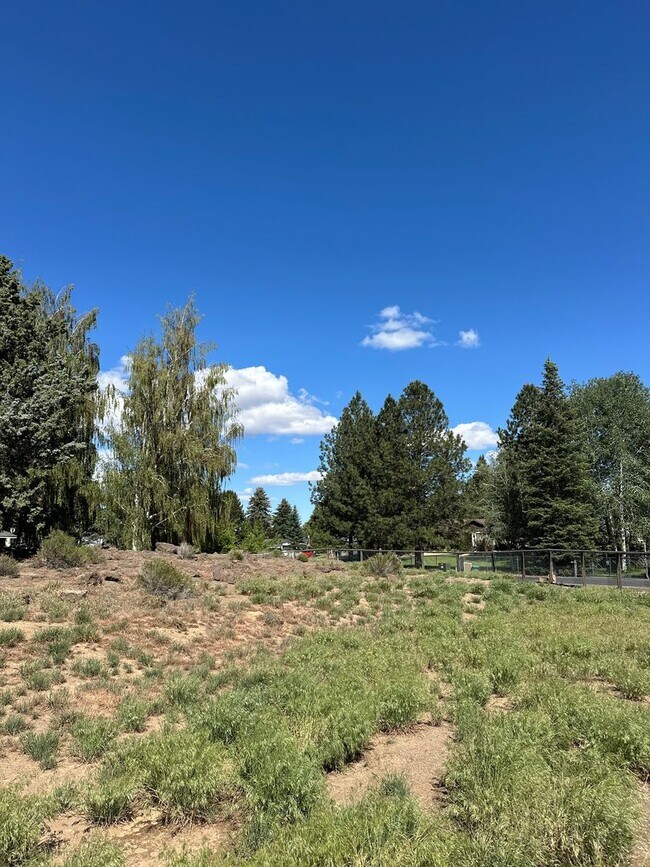 Building Photo - 3 Bed | 2 Bath | 1.17 Acres | Single-Level Home | Mountain Views