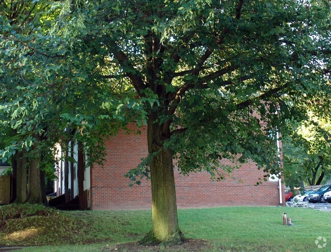Building Photo - Court Plaza Apartments
