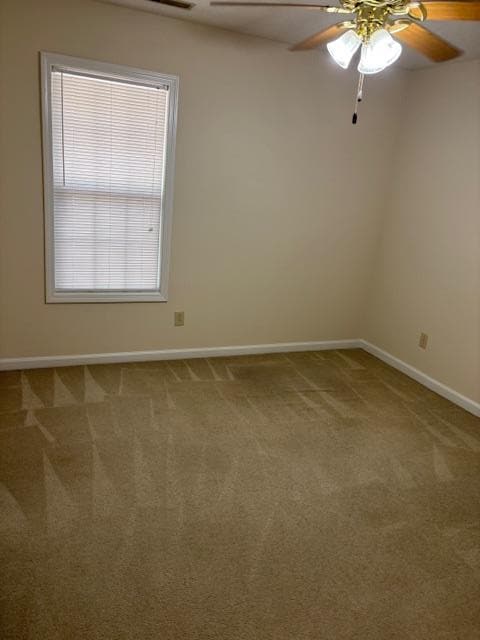 Building Photo - 101 Radcliff Dr
