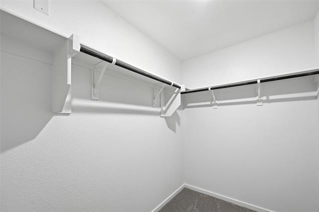 Building Photo - 237 Boxberry Wy