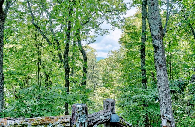 Building Photo - 546 Saddle Gap Dr