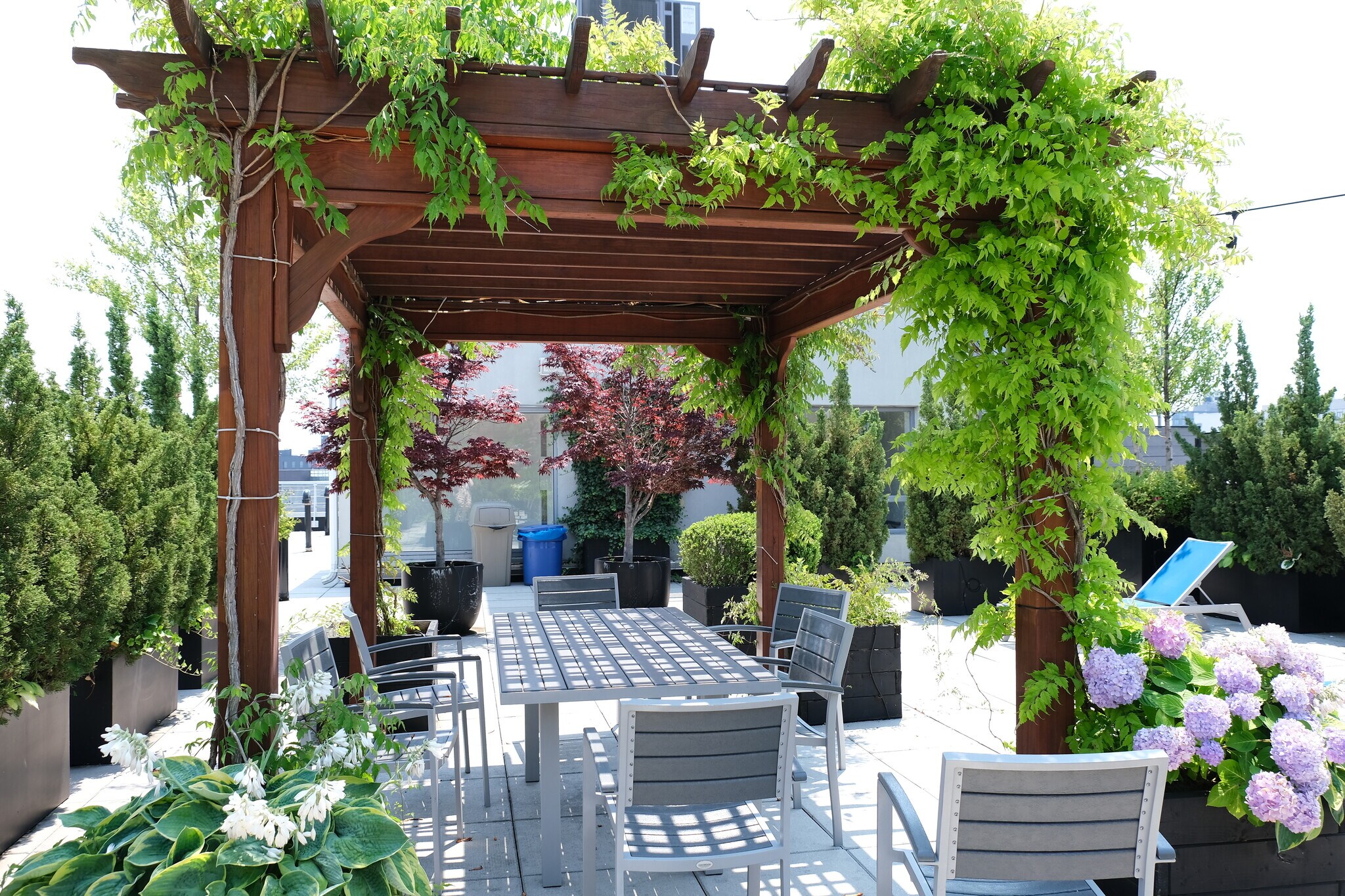 Building Roof Deck - 214 N 11th St