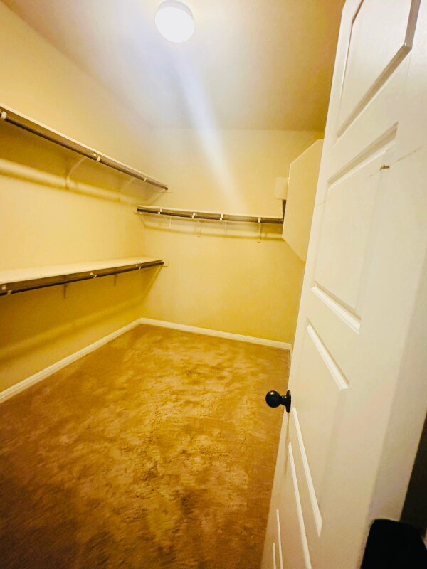 Building Photo - 16200 Cantania Cove