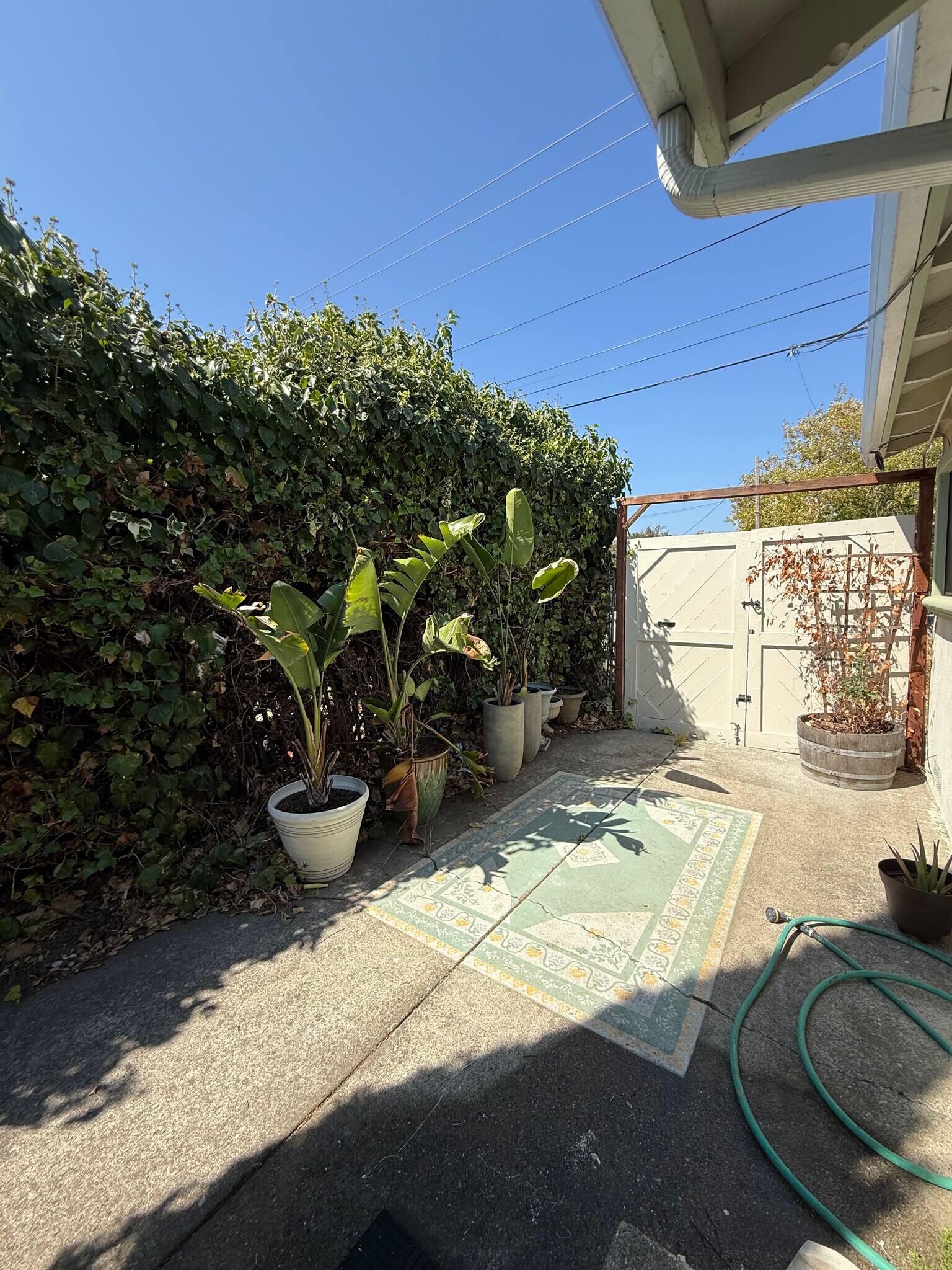 Building Photo - 223 Mendocino St