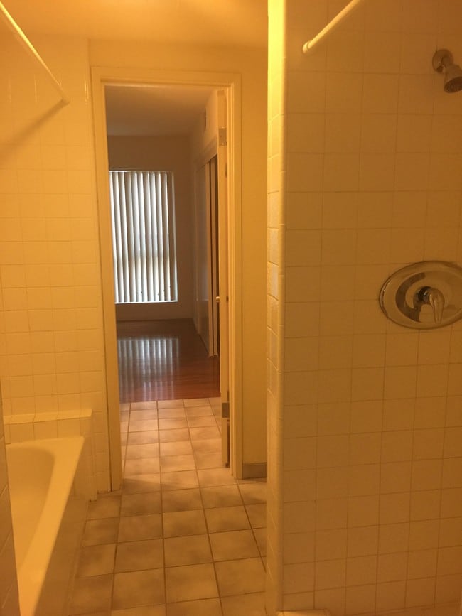 Master Bath Shower+ Tub-Shower - 627 2nd St