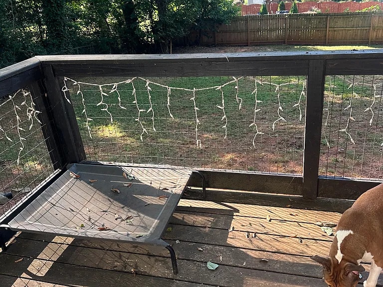 Building Photo - 3331 Midway Rd