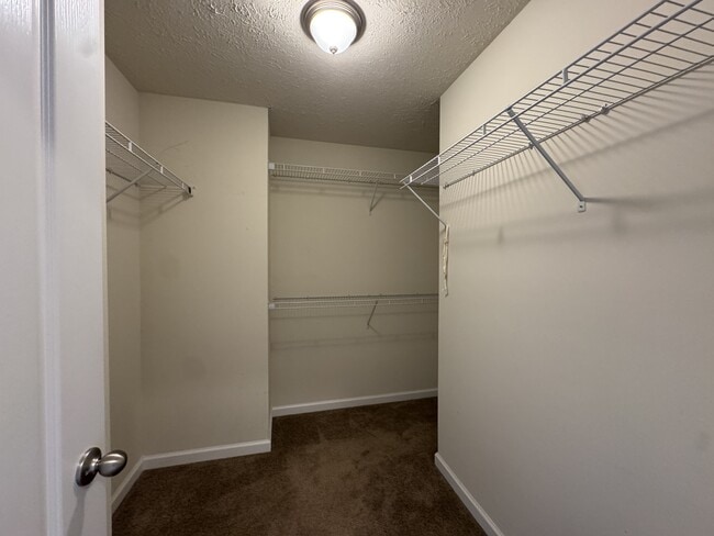 Building Photo - 3339 Sun Ct