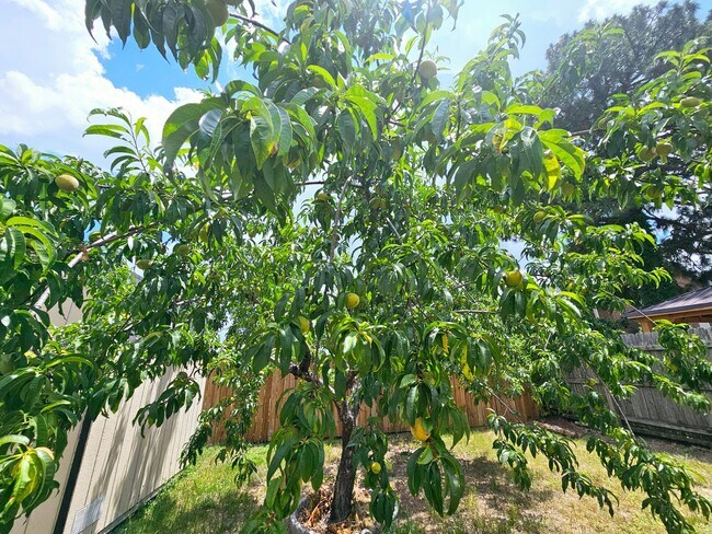 Building Photo - Town Of Springlake