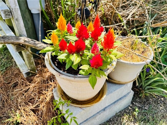 Building Photo - 1992 Henry Hammond Rd