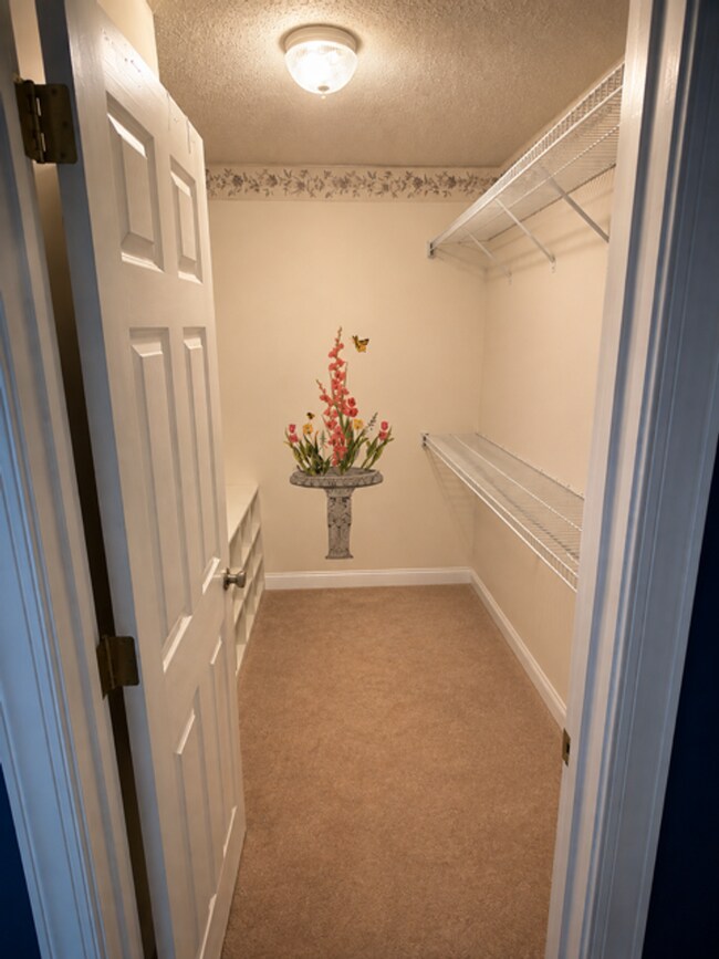 Building Photo - 901 Laurel Hill Cir