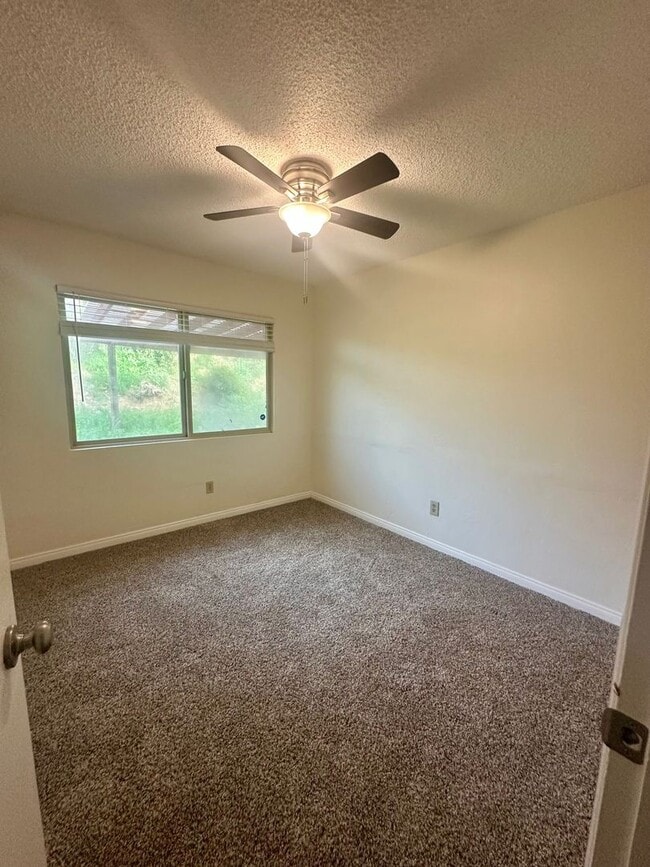 Building Photo - Great home with views of Sweetwater and Spring Valley mountains