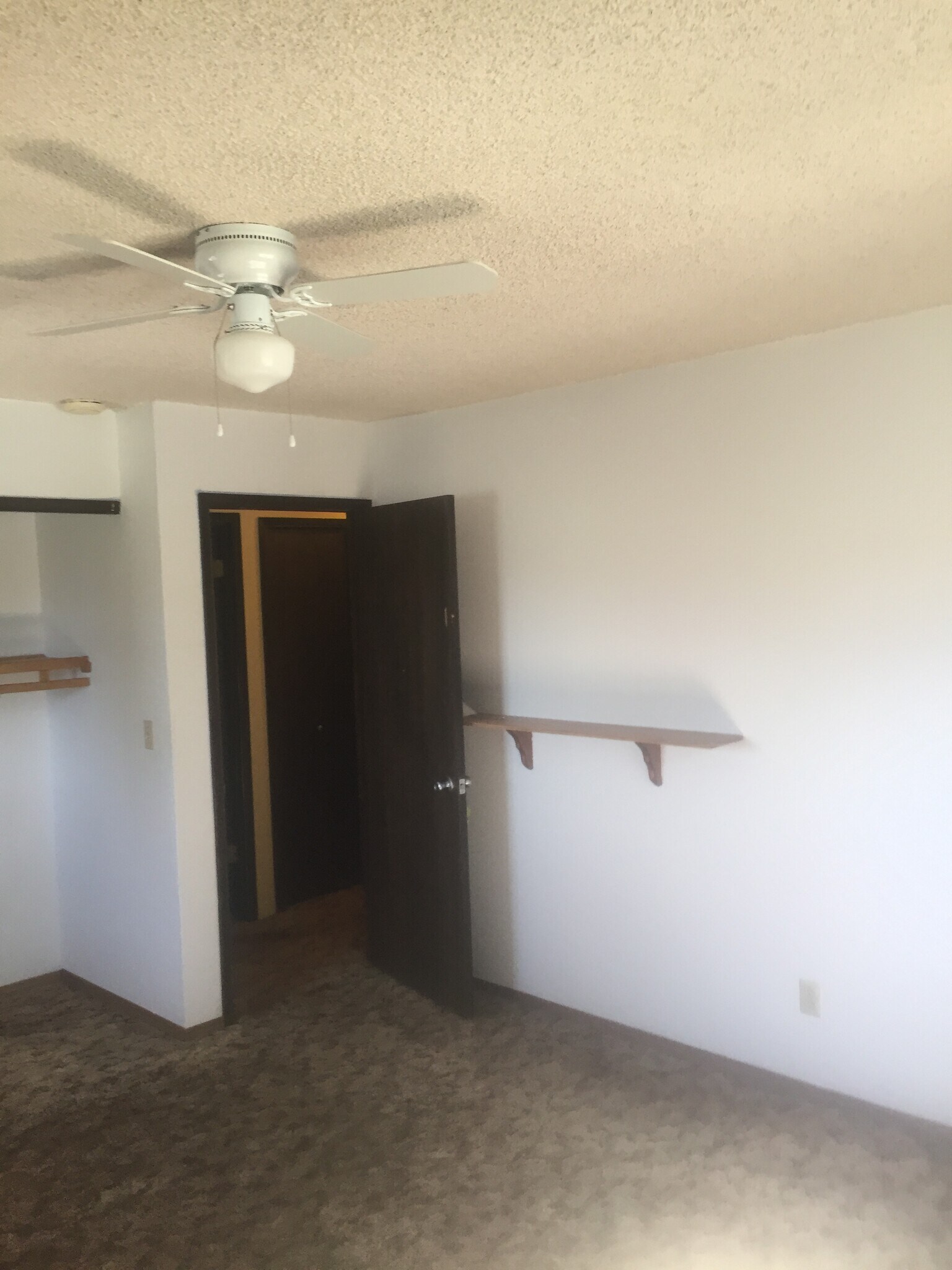 Building Photo - 1301 3rd St SE