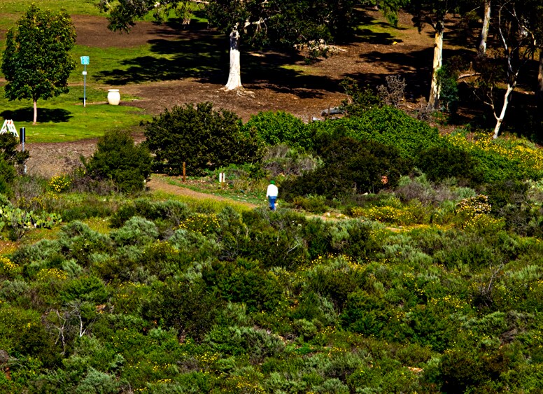 Building Photo - 3720 Louisiana St