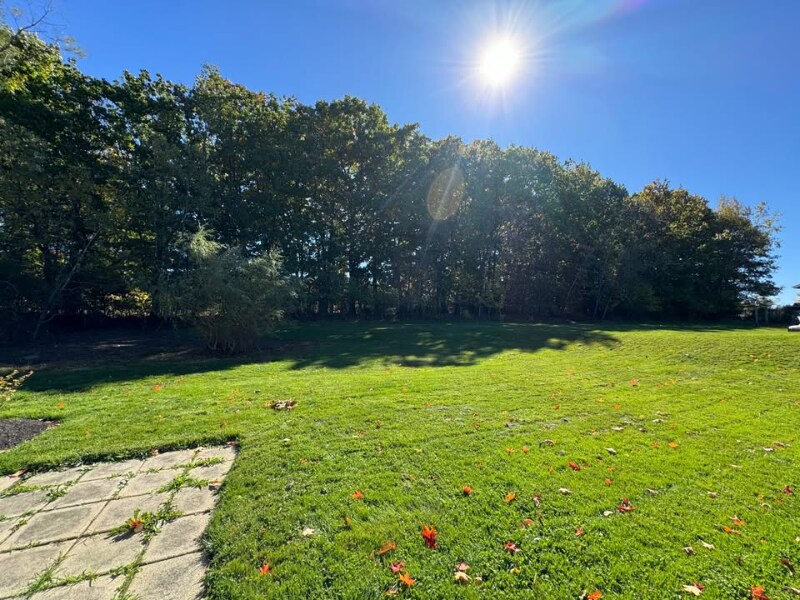 Building Photo - 98 Burnell Dr