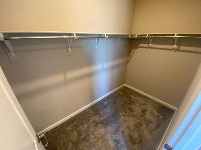 Building Photo - Fantastic Paired Home in Castle Rock