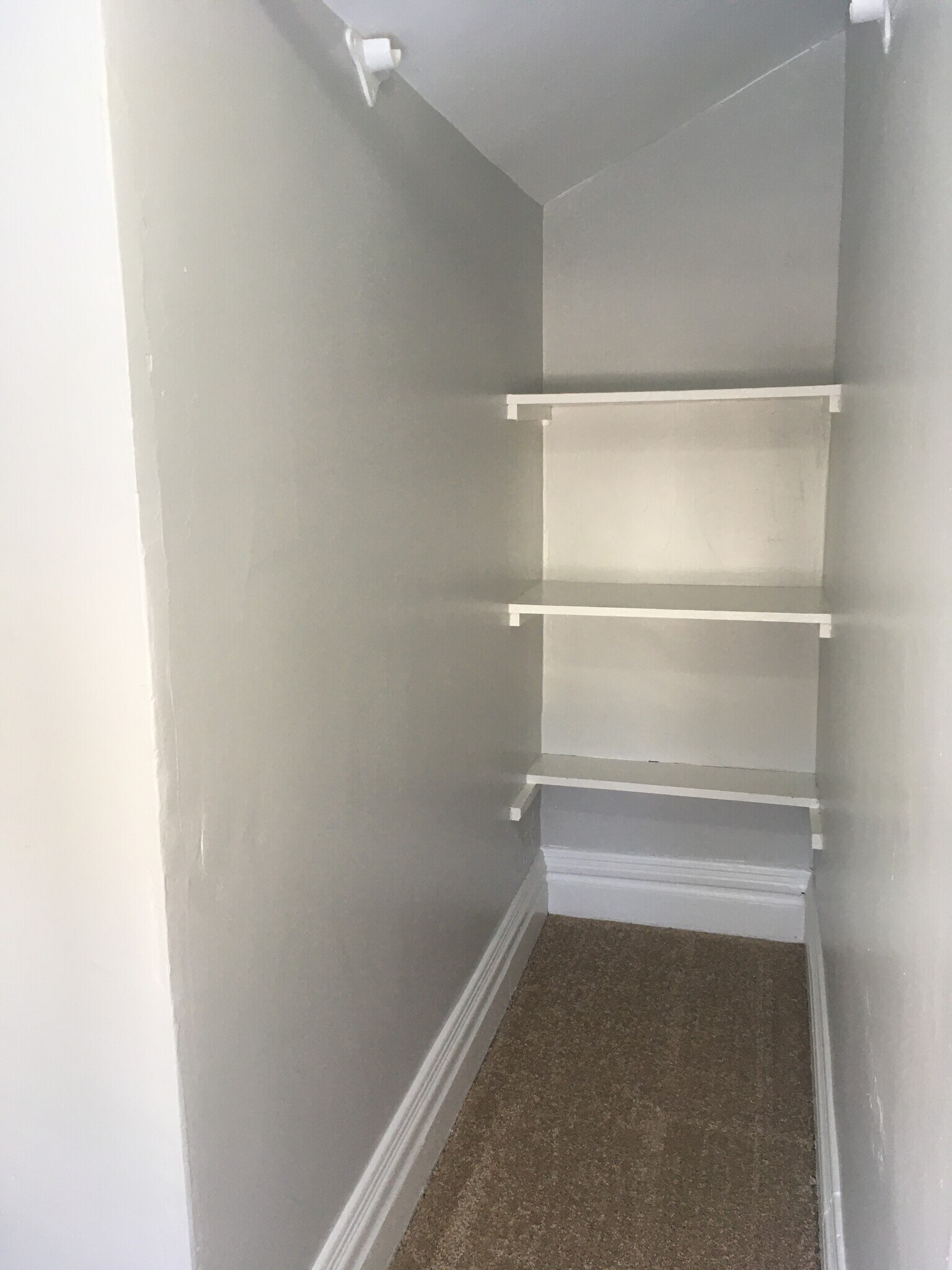 Bedroom 1 Closet - 219 W Oakland Ave