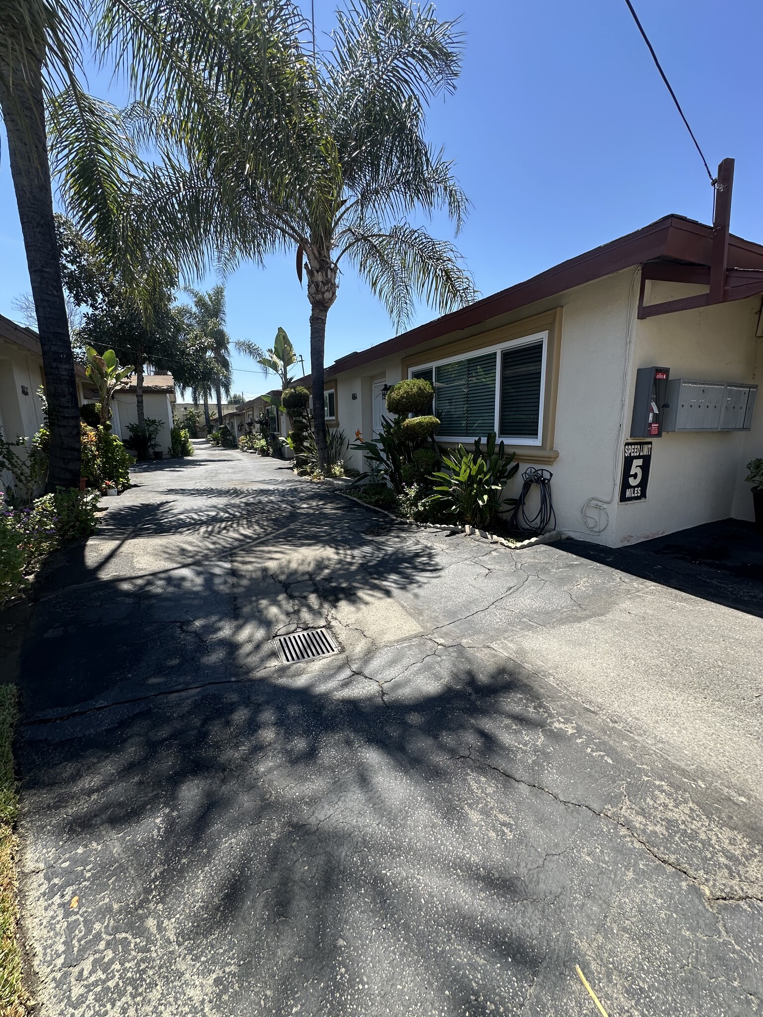 Building Photo - 9548 Cortada St