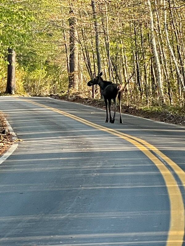 Building Photo - 109 Main St