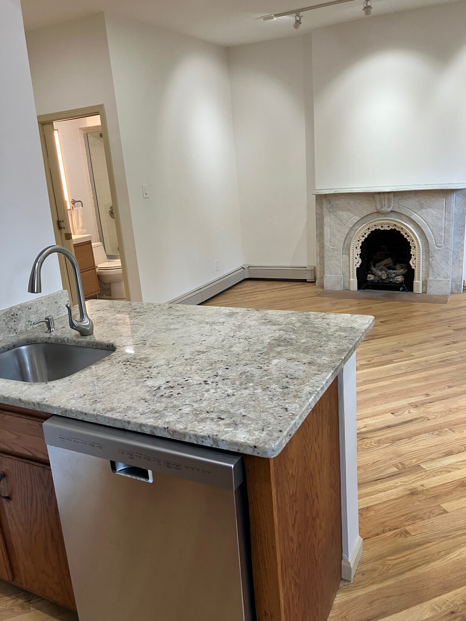 Italian granite counter top & dishwasher - 143 Sussex St