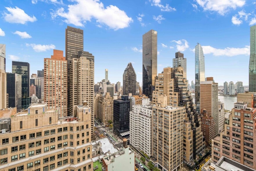 Building Photo - 245 E 44th St